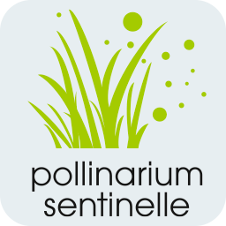 Allerte pollen