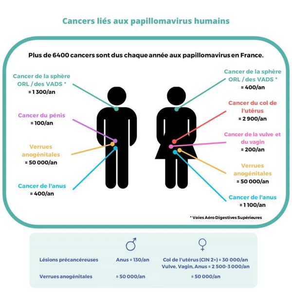 Mission 3 : prévention / HPV (papillomavirus humains)
