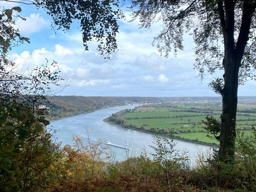 Qu’est-ce qu’une Communauté Professionnelle Territoriale de Santé (CPTS) ?