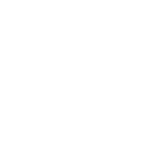 logo Communauté Professionnelle Territoriale de Santé du Comminges